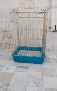 قفس