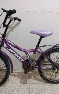 دوچرخه
