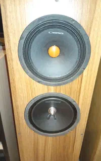 باند حرفه ای سیستم منزل tannoy انگلیسی