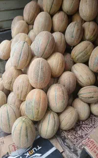 جانان عسلی ۴۵ تومان