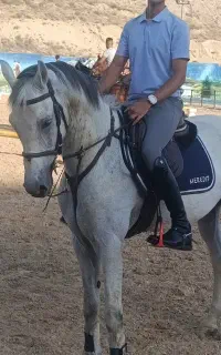 نریان پرشی خارجی