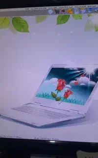 استخدام  صندوق دار حسابدار