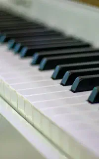 پیانو دیجیتال ۸۸ کلاویه