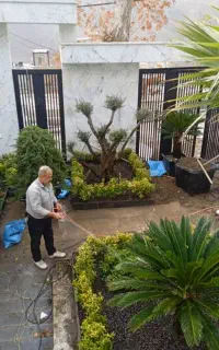 خدمات باغبانی گلکاری و باغچه آرایی