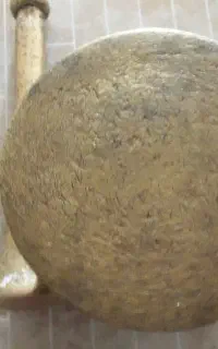 هونگ