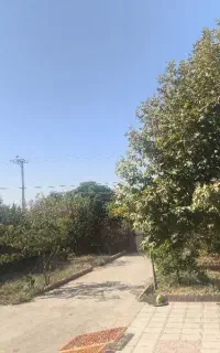 کارگر دام داری