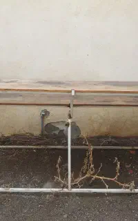 قفسه،،نمیکت