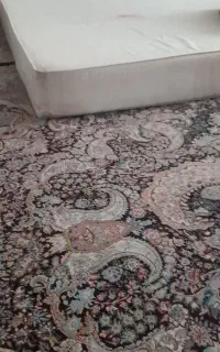 تشک 1/80مفت مفت