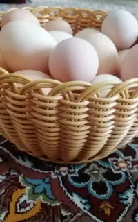 سبد بافی شمیم