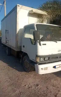 کامیونت هیوندا یخچالی