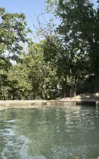 زمین مزروعی نزدیک به طرح امیراباد
