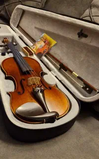 ویولن TF 142 4/4 آکبند