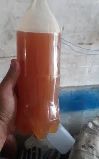 محلول حلشونده