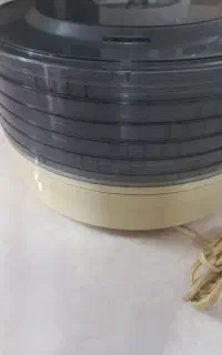 میوه خشک کن برقی