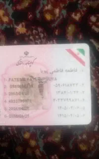 مدارک پیدا کردم
