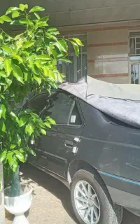 پژو ۴۰۵