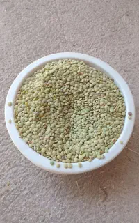 عدس کالپوش
