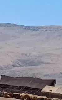 سیاه چادر.دوار
