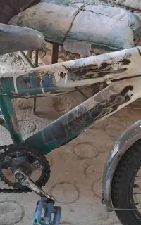 دوچرخه