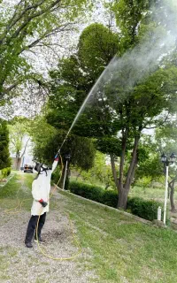 هرس سمپاشی کاشت و اجرا وطراحی فضای سبز