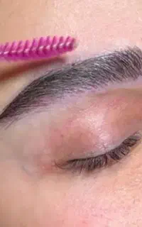 مدل میکروکاشت