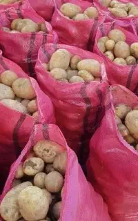 گونی دست دوم و نو در انواع و اقسام