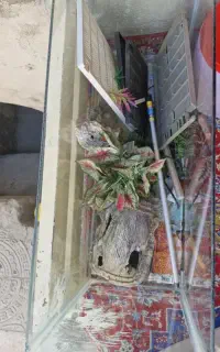 آکواریوم