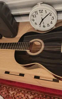 گیتار آریا AK20