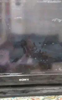 تلوزیون ۳۲ انچ سونی