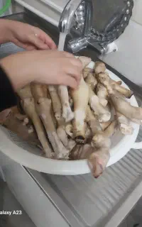 آموزش صفر تا صد کله پزی طباخی