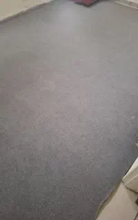 موکت نو