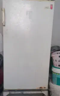 یخچال ده فوت ازمایش
