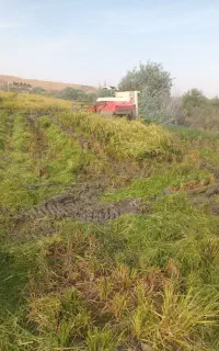 گمشده چادر بزرگ کشاورزی