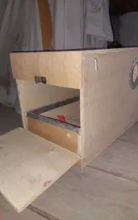 لونه تخم پرنده