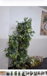 درختچه مصنوعی بدنه و برگ لمسی نزدیک ترین طبیعی