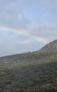 تشت دونفر رویال اصل