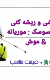 سمپاشی ساس سوسک موش سم پاشی موریانه