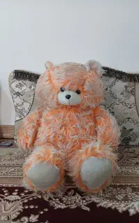 خرس یک متری