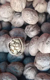 فروش گردوی سرمیدان بوانات