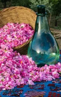عرضه عمده عرقیجات طبیعی کاشان