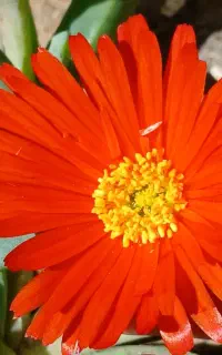 نیاز به کار