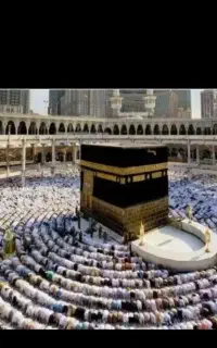 یک عدد حج تمتع