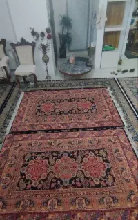 دوتخته فرش ۴ متری +نخل مصنوعی+ کنار سالنی پیوتر