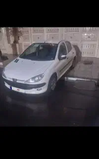 ۲۰۶ است دی
