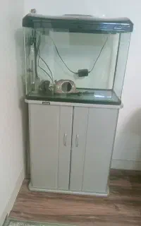 آکواریوم شرکتی ۶۰ سانتر