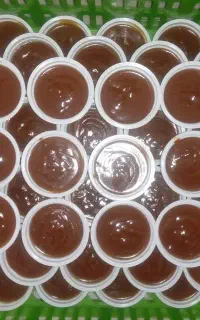سمنوی داغ و تازه سمنو گلبهار نیشابور با جوانه گندم