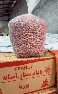 بادام زمینی استانه و بادام کره گیری