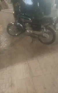رهرو 404