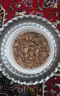 ثعلب خشک‌شده