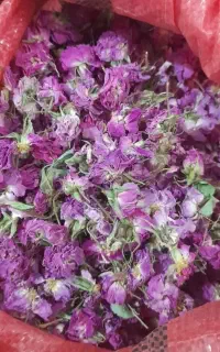 گل محمدی خشک شده خوش رنگ ومعطر